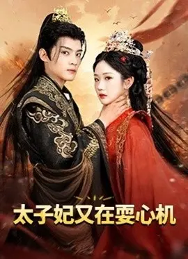 《太子妃又在耍心机》：宫廷权谋中的爱情博弈