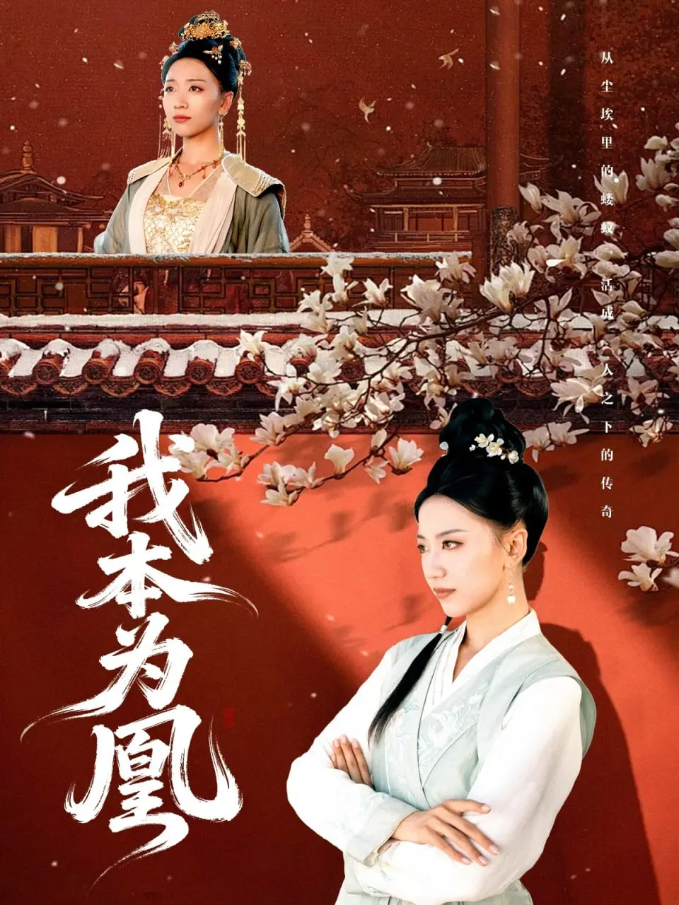 逆天改命，凤舞九天！深度解析《我本为凰》：看废柴少女如何涅槃重生，燃爆你的少女心！